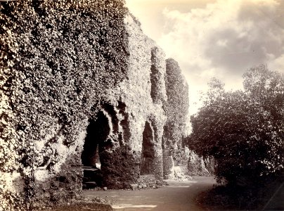 Reading Abbey, The east walk of the Cloister, 1890-1899 photo