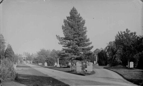 Reading Cemetery, c. 1875 photo