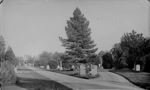 Reading Cemetery, c. 1875