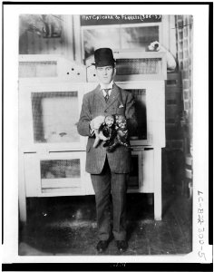Rat catcher & ferrets LCCN96502509