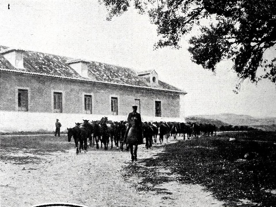 Real Yeguada de Aranjuez, de Goñi, Blanco y Negro, 08-12-1906