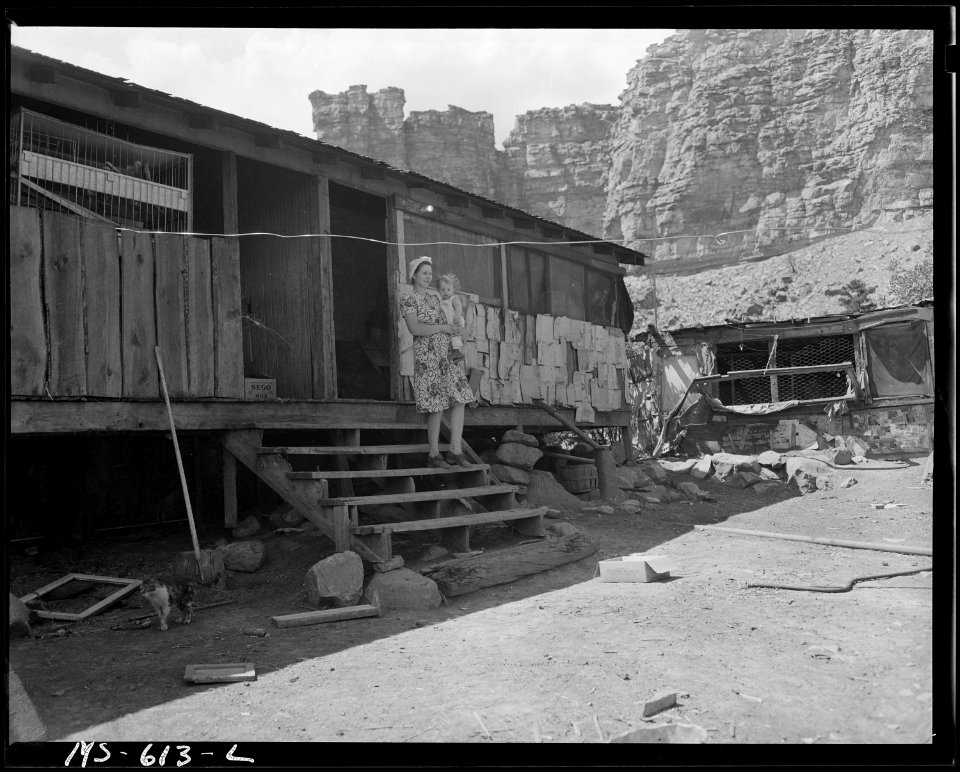 Rear porch of home of Mr. & Mrs. Llewelyn and family in company housing project for miners. Note that coop for... - NARA - 540526