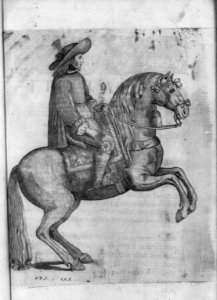 Rearing horse - opp. p. 452 LCCN2007677001