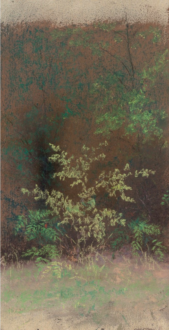Bush Study by Frank Reaugh, pastel