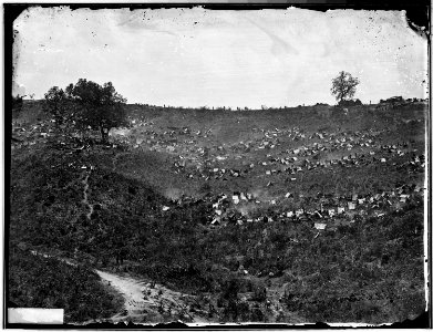 Rebel prisoners waiting at Belle Plain, Va. for transportation - NARA - 526662