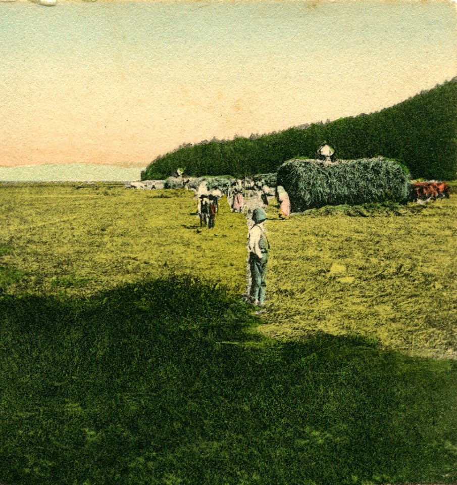 Razglednica Cerkniškega jezera 1907 (2)