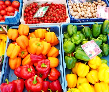 Green peppers sweet peppers vegetables photo