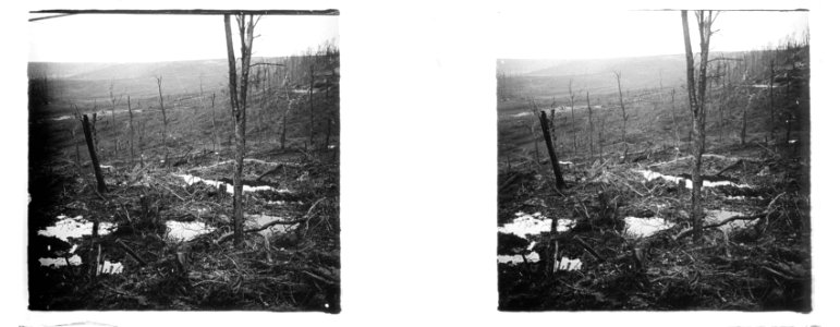 Ravin des Gobineaux - Fonds Berthelé - 49Fi929