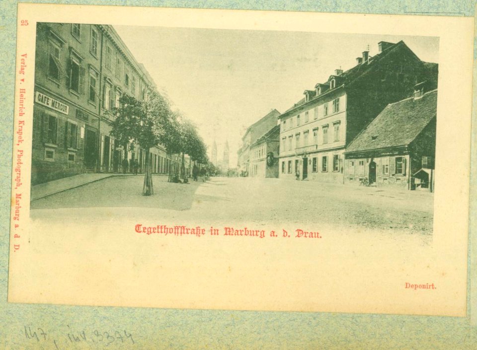 Razglednice Maribora, ki jih je leta 1903 uredil dr. Amand Rak (384)