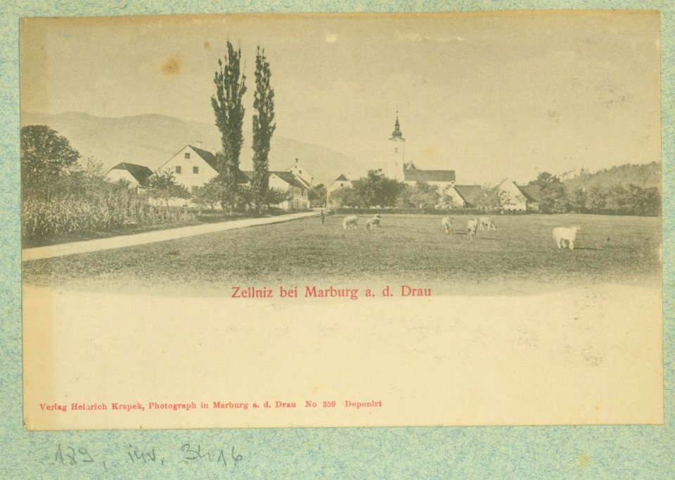 Razglednice Maribora, ki jih je leta 1903 uredil dr. Amand Rak (426)