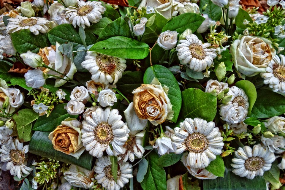 Flowers bouquet of flowers decoration