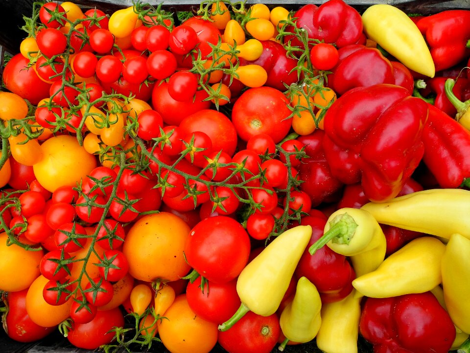 Food fresh red