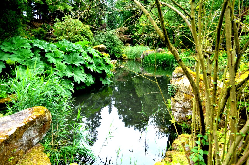 Secluded water outdoor