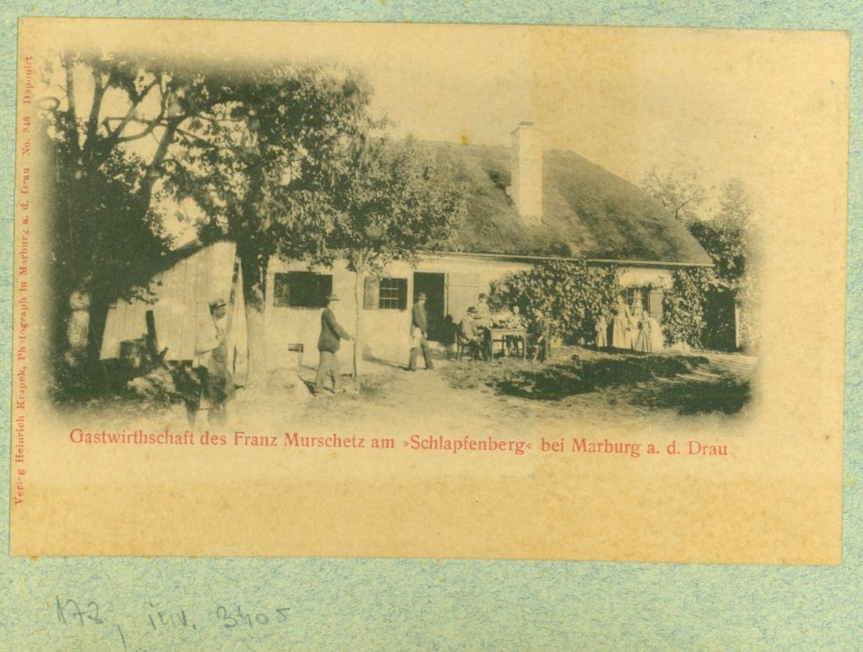 Razglednice Maribora, ki jih je leta 1903 uredil dr. Amand Rak (415)