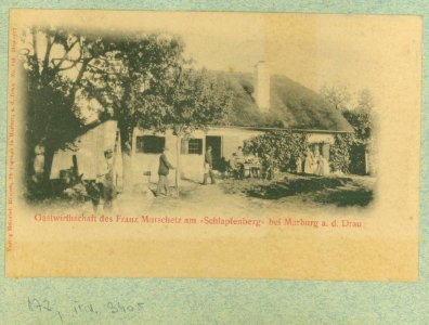Razglednice Maribora, ki jih je leta 1903 uredil dr. Amand Rak (415)