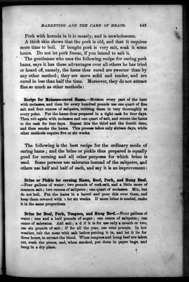 Recipes for curing meats from 1873 LCCN2006682535