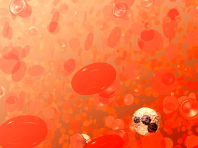Red blood cells illustration photo