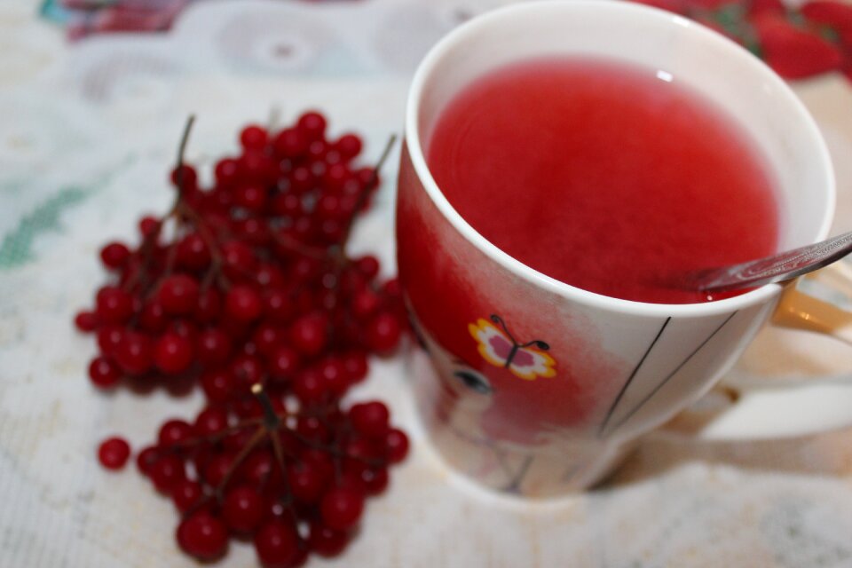 Viburnum berries tea with viburnum drinking tea
