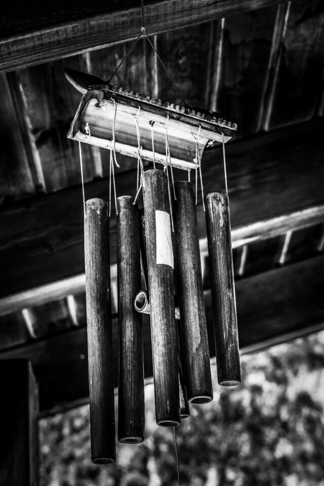 Bamboo feng shui black and white