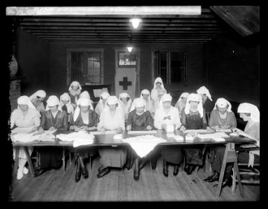 Red Cross Church of Covenant unit LCCN2016852174