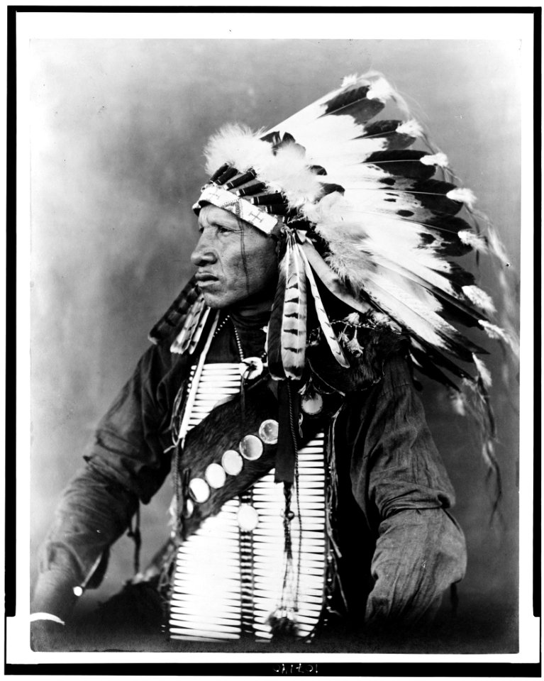 Red Bird, Sioux Indian, half-length portrait, seated, facing left, wearing feathered headdress LCCN93502573