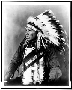 Red Bird, Sioux Indian, half-length portrait, seated, facing left, wearing feathered headdress LCCN93502573