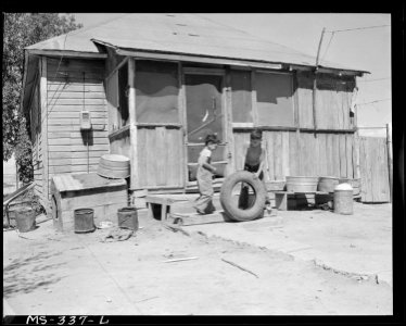 Rear of home of Sam Lontine, miner. Puritan Camp, Erie, Colorado. - NARA - 540364