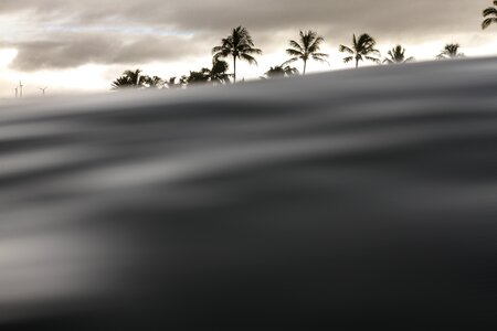 Plant clouds sky