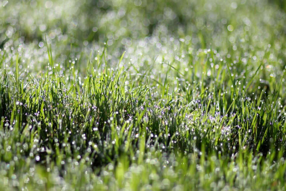 Green wet water