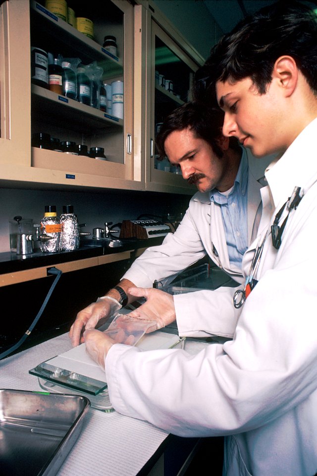 Recombinant DNA- southern blot