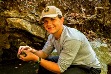 Red Legged Frogs (36634543342)