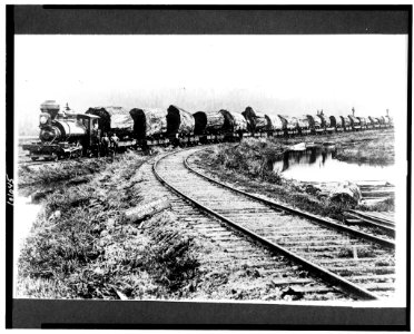 Red wood logs on train on way from forest to mill LCCN90709647