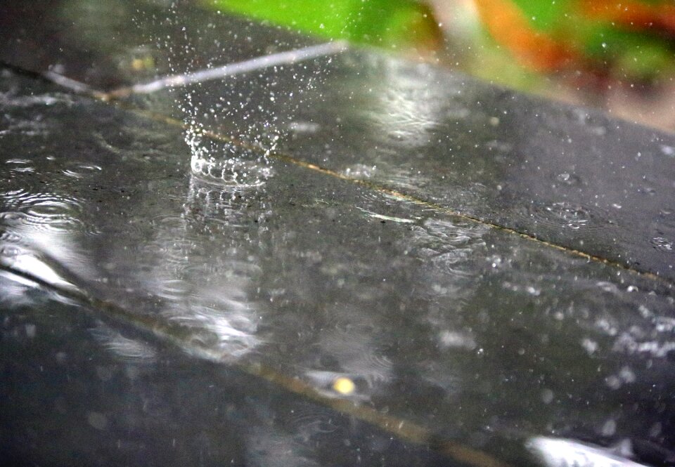 Nature weather gray rain