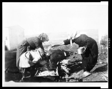 Refugee child getting her hair washed at Camp Kalamaria, Salonica, where ARC feeds 11,000 After a public hair cutting, occasionally ordered by ARC nurse in the interests of cleanliness, LCCN2010650527