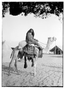 Red Cresc. (i.e., Red Crescent) on camel LOC matpc.08151