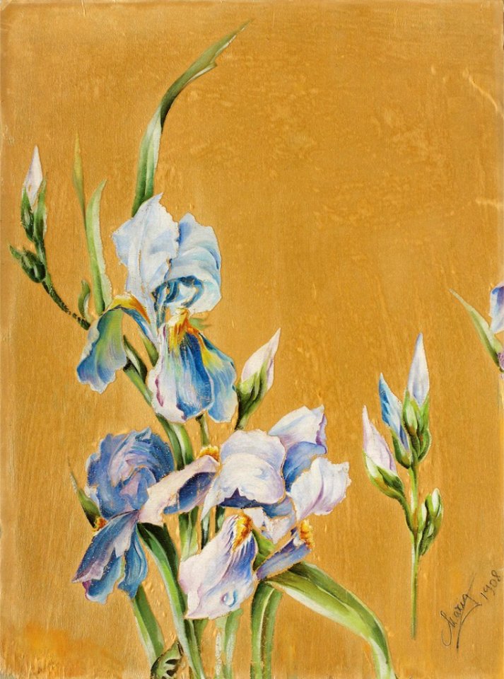 Regina Maria - Irisi