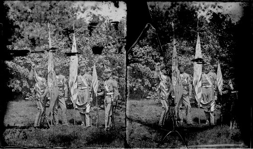 Regimental color guard - NARA - 527688
