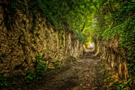 Lösshohlweg alley hiking