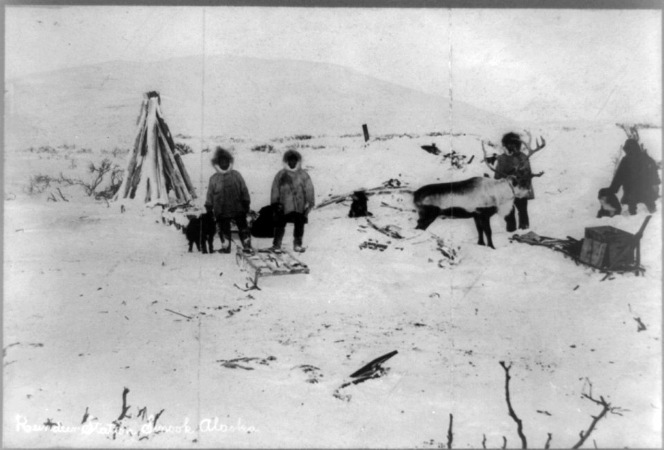 Reindeer station, Sinook, Alaska LCCN93510813