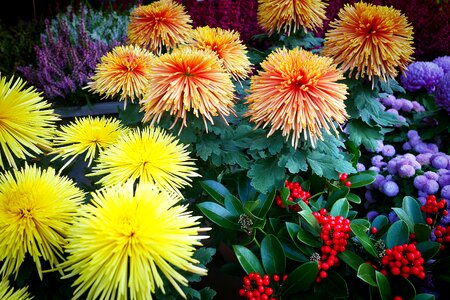 Plant leaf market stall