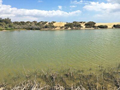 Nature sand water photo