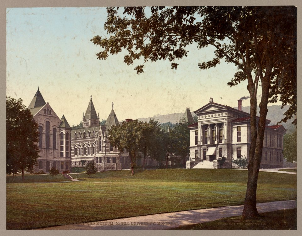 Redpath Library and Museum, McGill University. Montreal LCCN2017659150