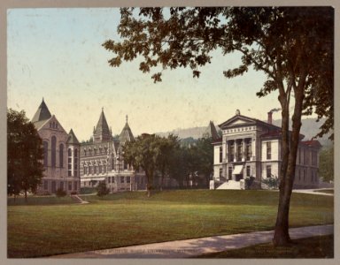 Redpath Library and Museum, McGill University. Montreal LCCN2017659150