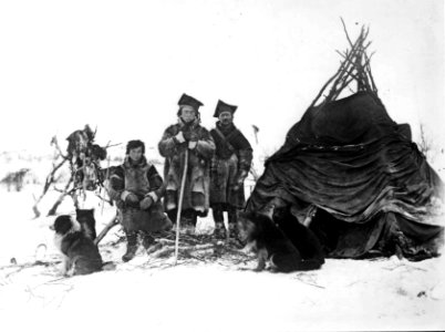 Reingjetere og hunder ved teltet, Sør-Varanger, Finnmark, før 1900 - Norsk folkemuseum - NF.06725-010