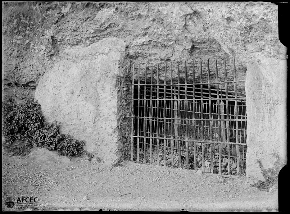 Reixa al camí de la Santa Cova de Montserrat
