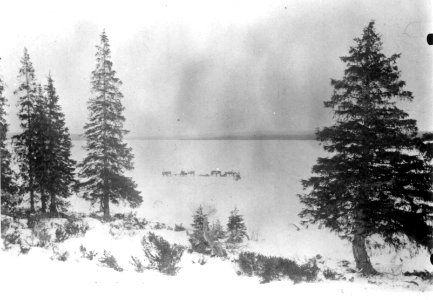 Reinraide, flytting med reinsdyr og pulker. Nuotajvre, Finland, etter 2 - Norsk folkemuseum - NF.06208-007