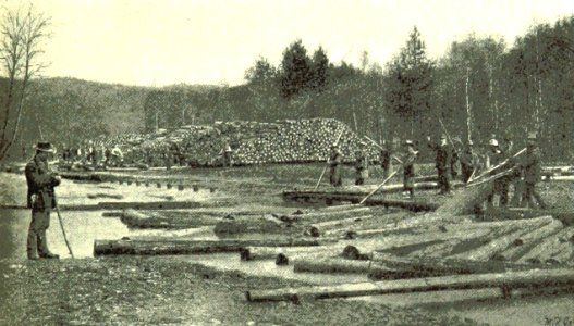 Regen Holztrift Bronner 1898