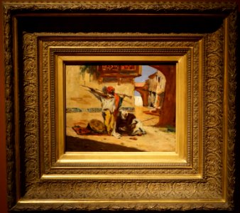 Regnault sentille marocaine 32315