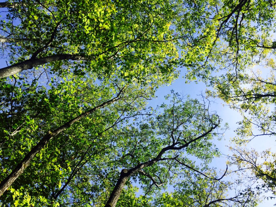 Sky green blue