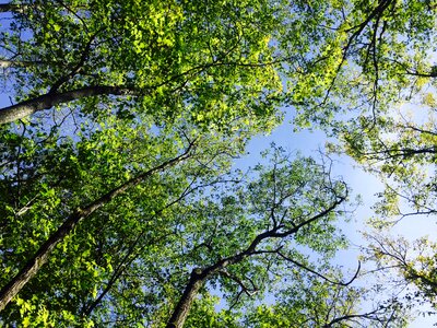 Sky green blue
